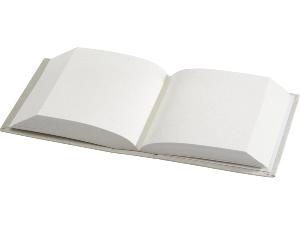 85578ba1ca2d4096.jpg