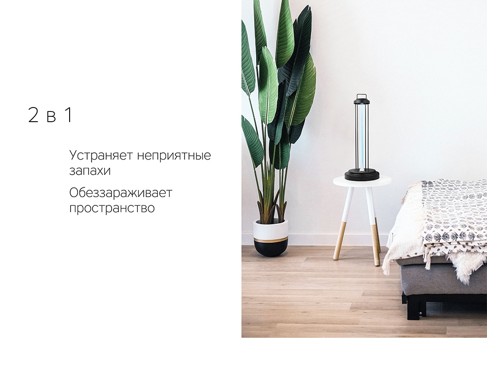 c59d4c148021dca6.jpg