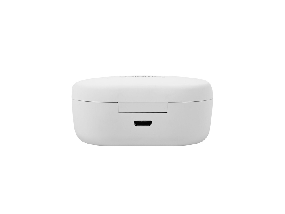 cc556cdae3fd307a.jpg