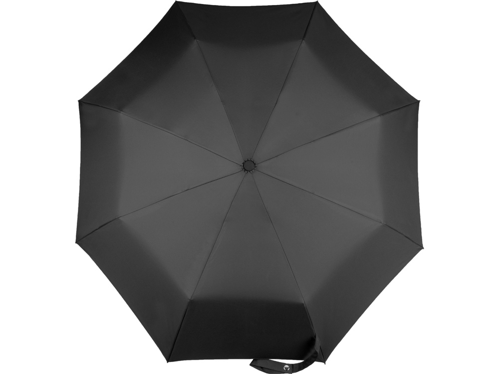 cf7093196c7db195.jpg