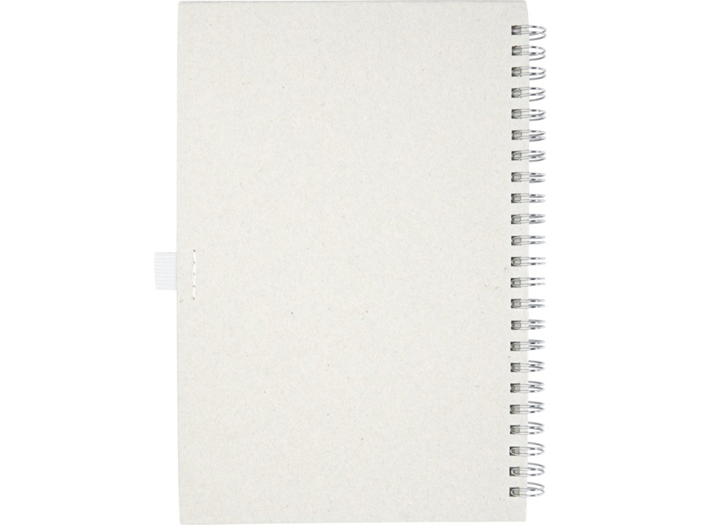 ddf7f81db51bf297.jpg